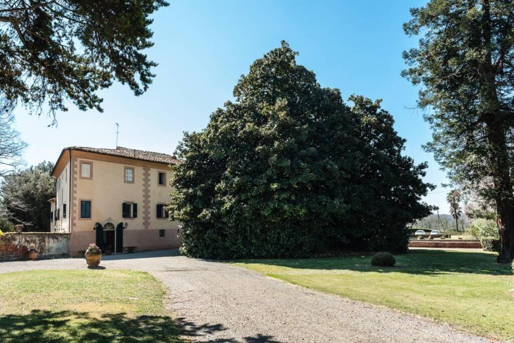 Villa Ott Crespina エクステリア 写真