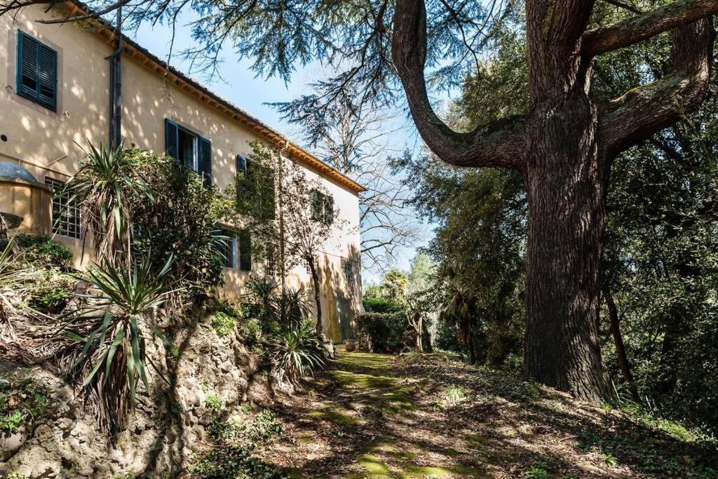 Villa Ott Crespina エクステリア 写真