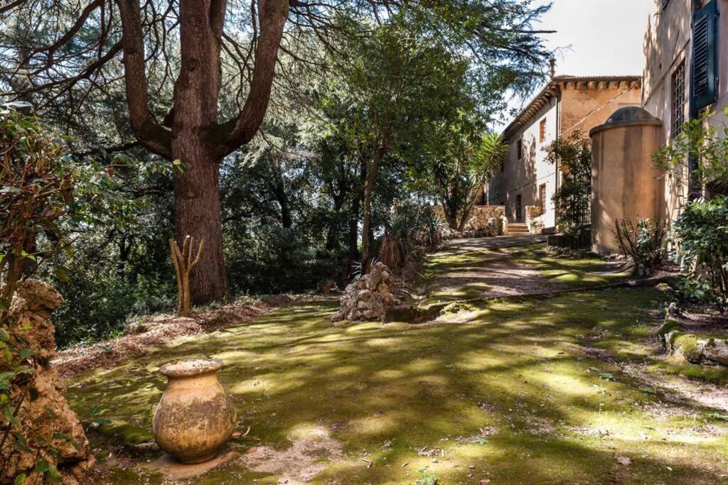 Villa Ott Crespina エクステリア 写真