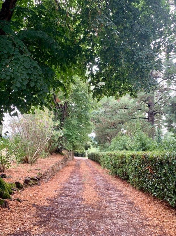 Villa Ott Crespina エクステリア 写真