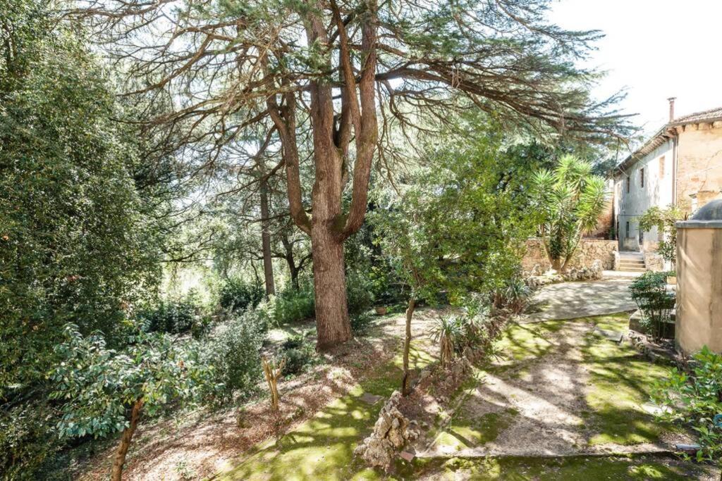 Villa Ott Crespina エクステリア 写真